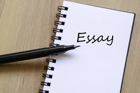 The Essay Structure